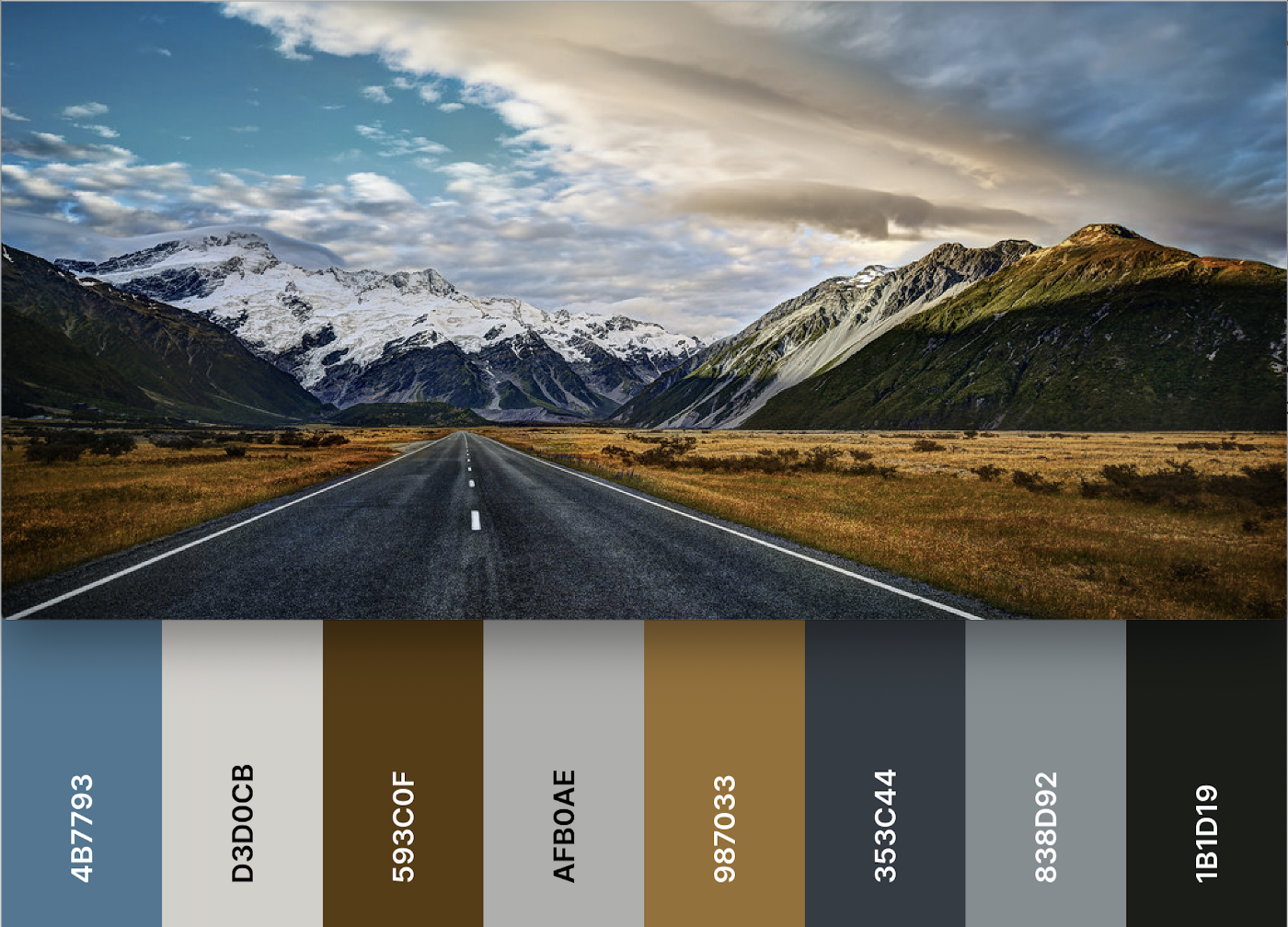 An image with its extracted color palette below